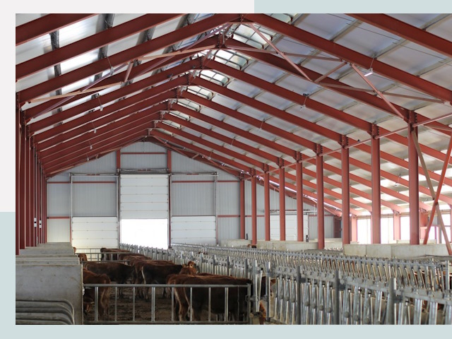 Строительство коровников в Советской Гавани