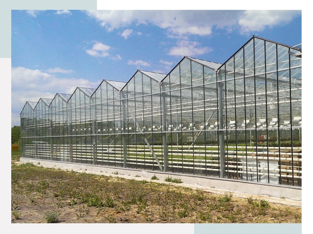 Строительство теплиц в Советская Гавань от 623 руб. за м²