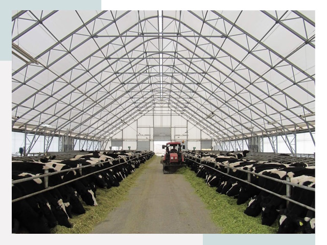 Тентовые коровники в Советской Гавани от 623 руб. - Надежно и доступно